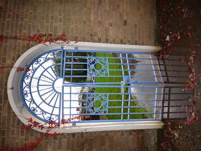 Picture 7